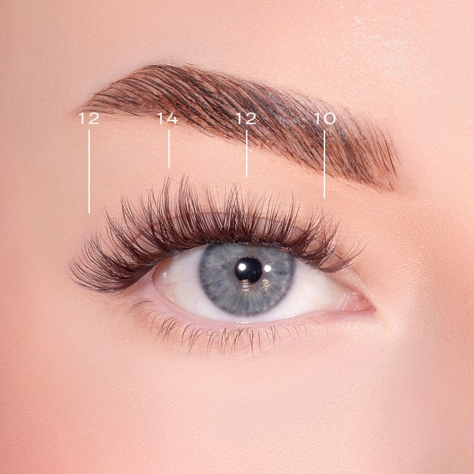 Bold Definition Dark Brown Pre-Glued Lashes