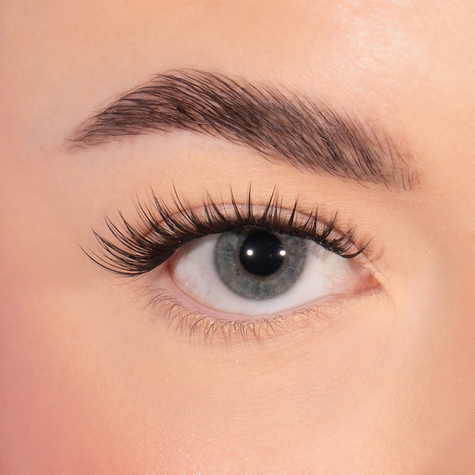 Defined Press-On Lashes