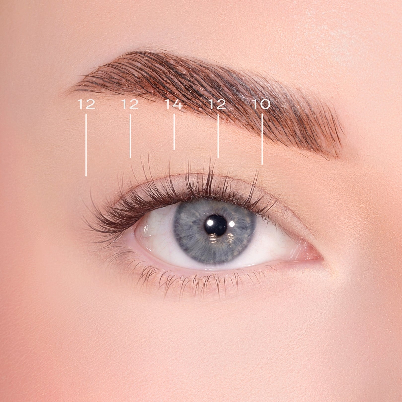 Feathered Dark Brown Pre-Glued Lashes