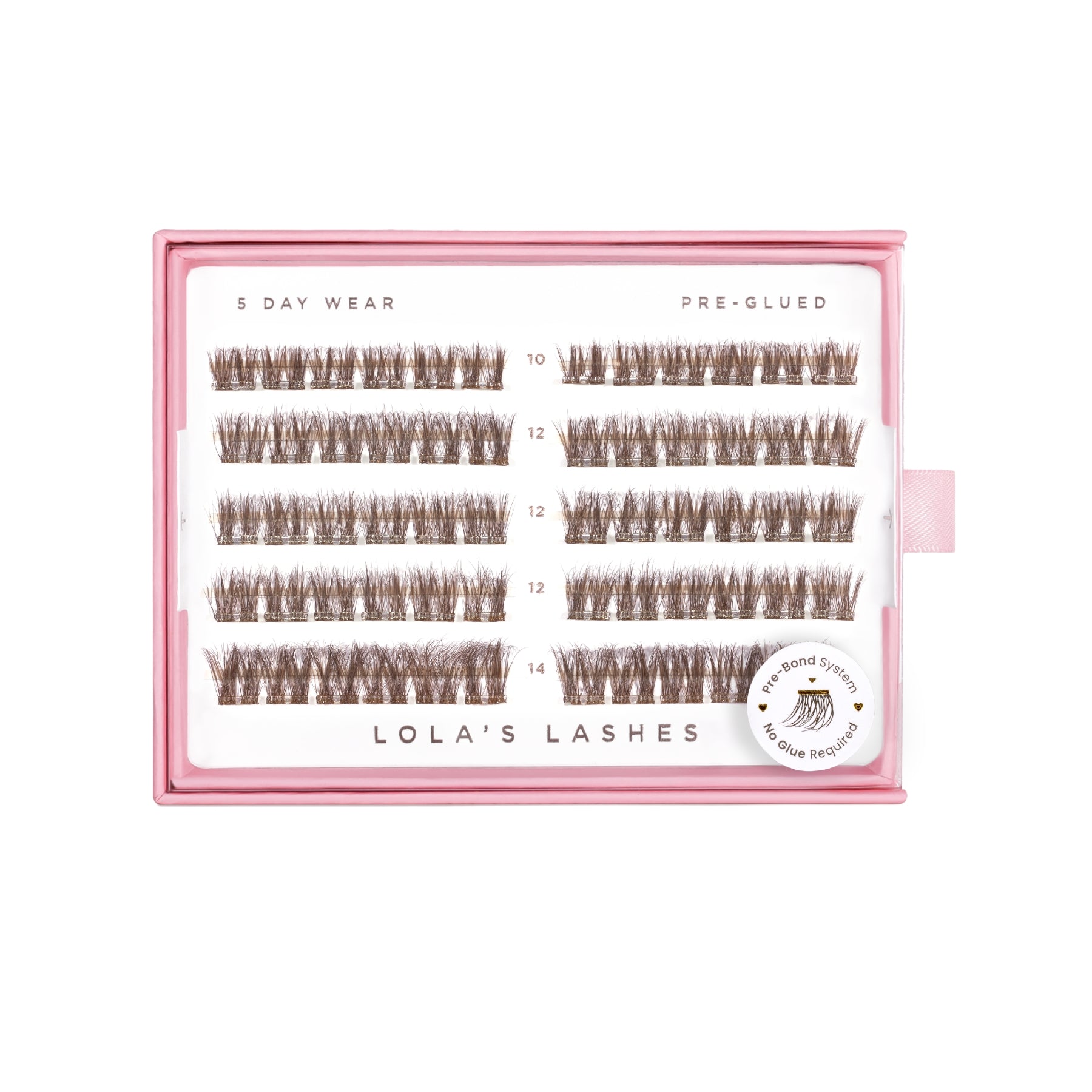 Soft Cocoa Brown Pre-Glued Lashes