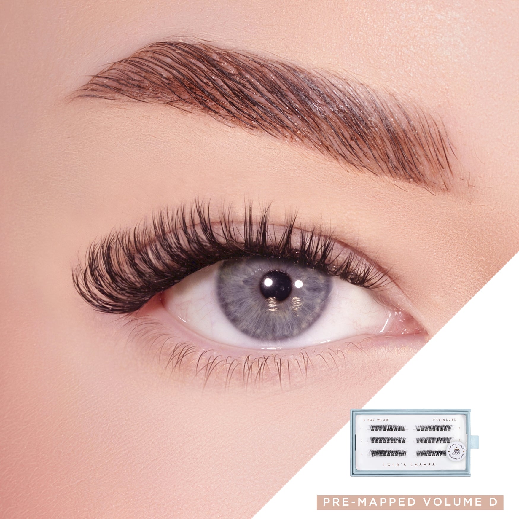 Volume D Pre-mapped Pre-Glued Lashes