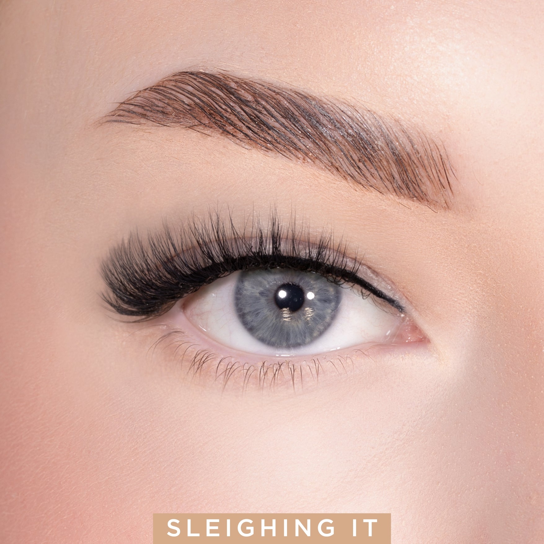 Everynight Strip Lash Duo Kit