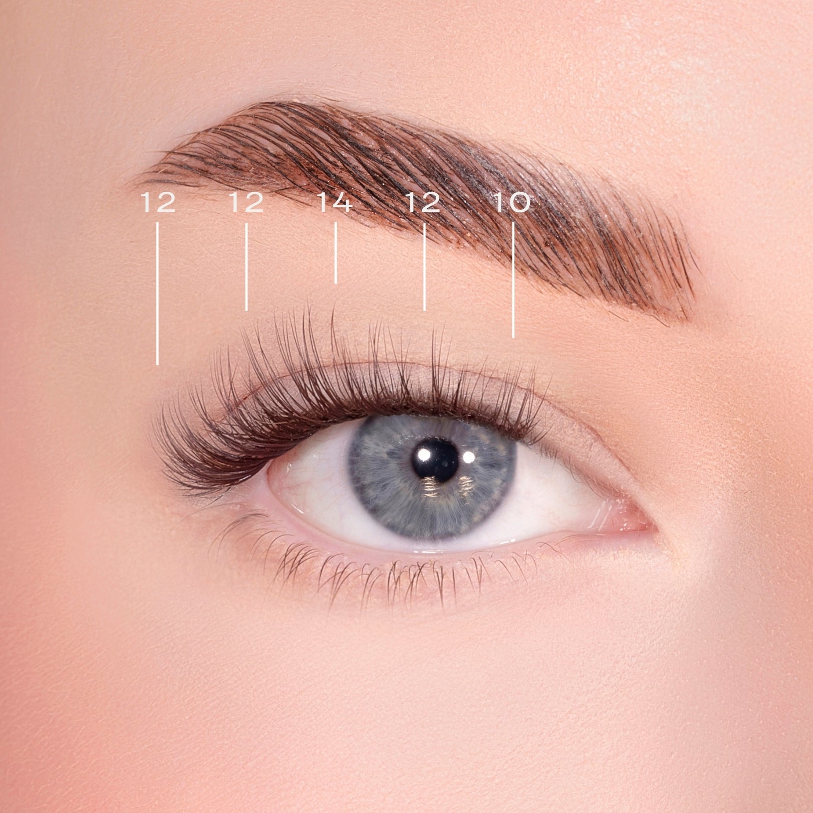 Soft Wisp Dark Brown Pre-Glued Lashes