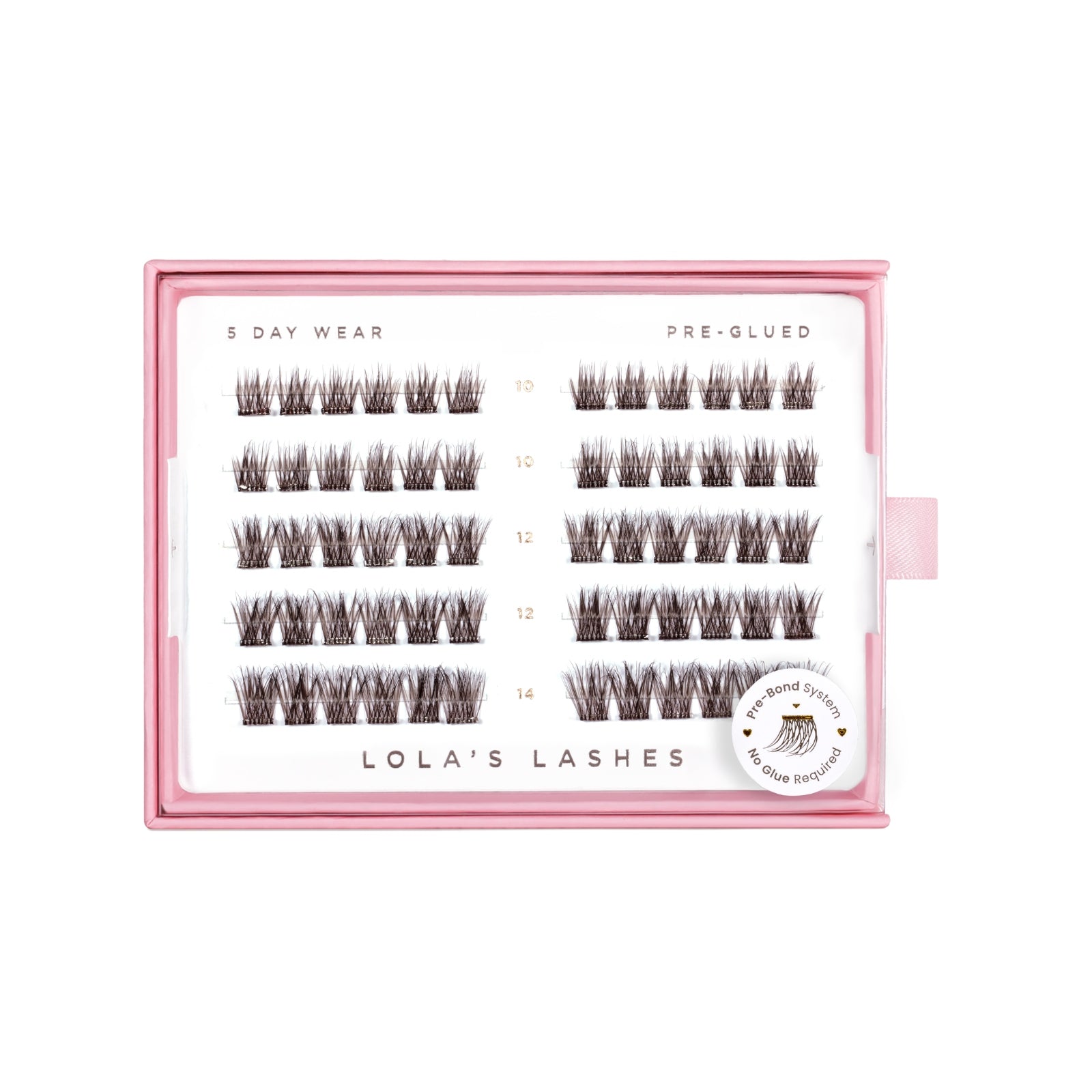 Soft Wisp Dark Brown Pre-Glued Lashes