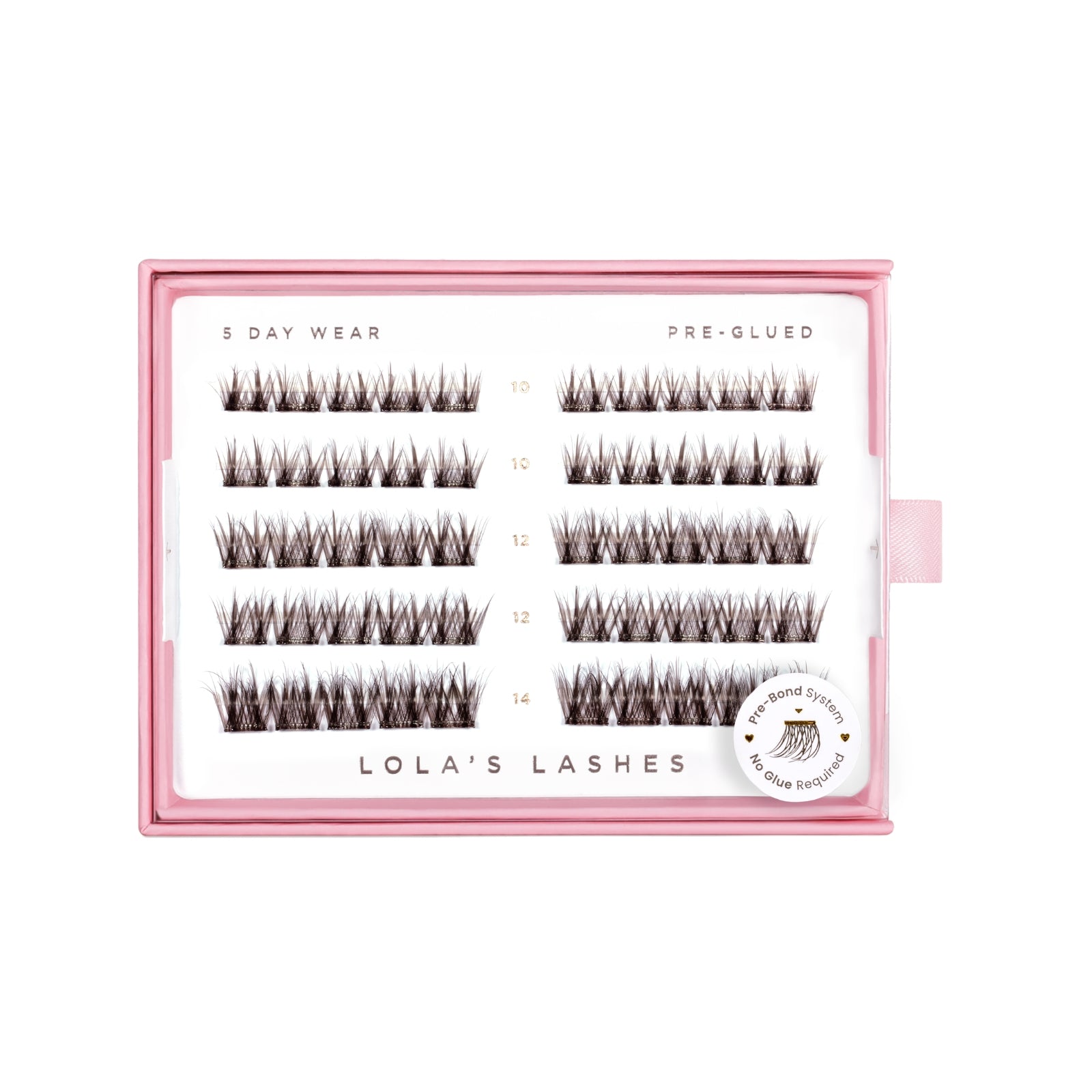 Soft Definition Dark Brown Pre-Glued Lashes