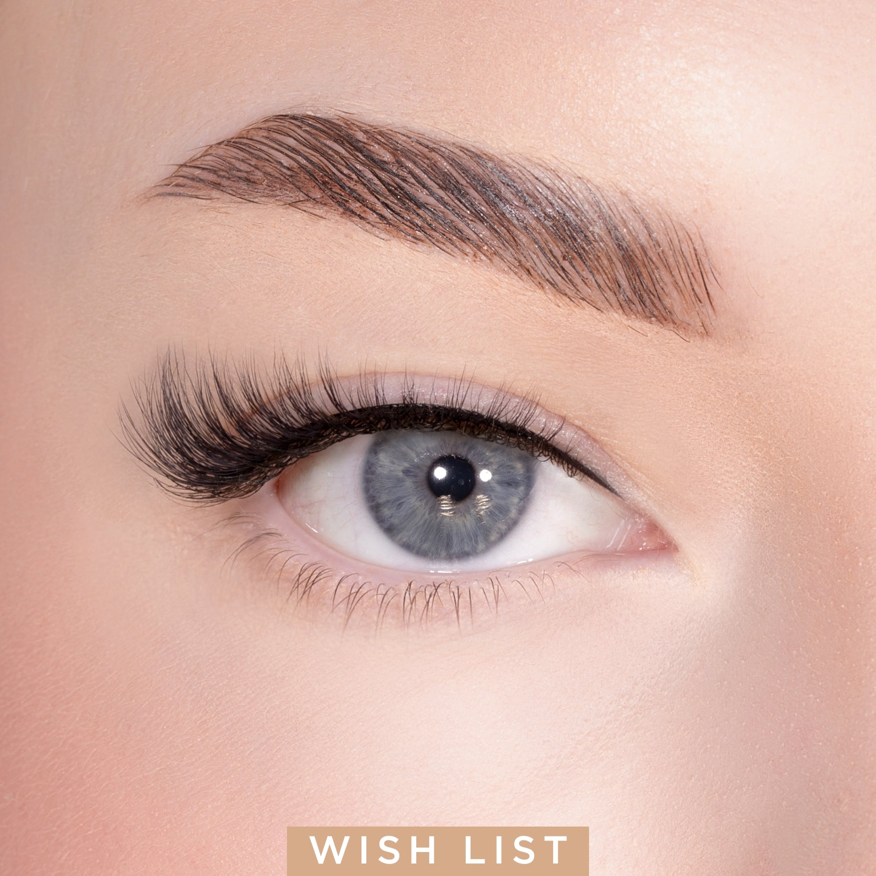 Everyday Strip Lash Duo Kit