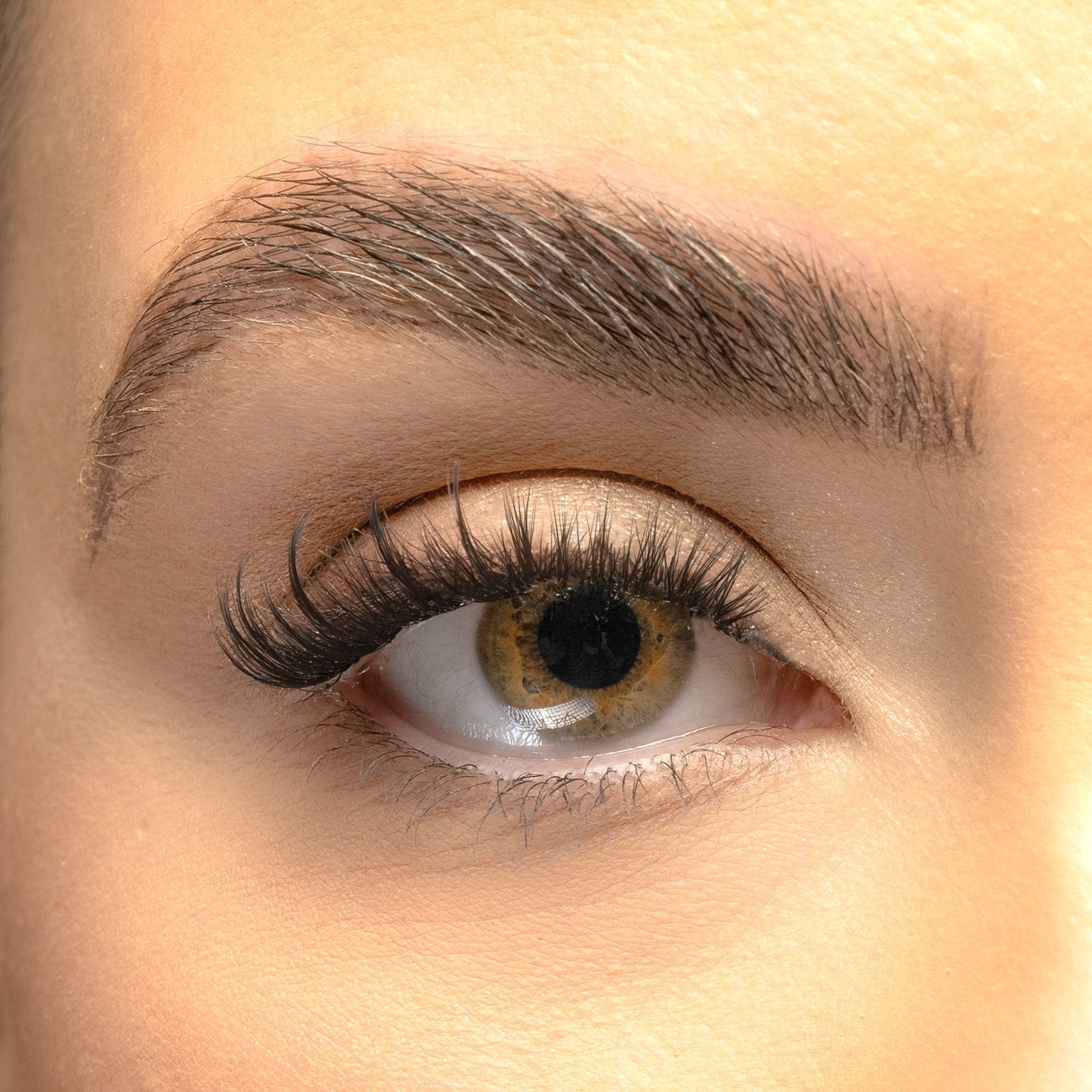 Cat-Eye Hybrid DIY Lash Extensions Starter Set