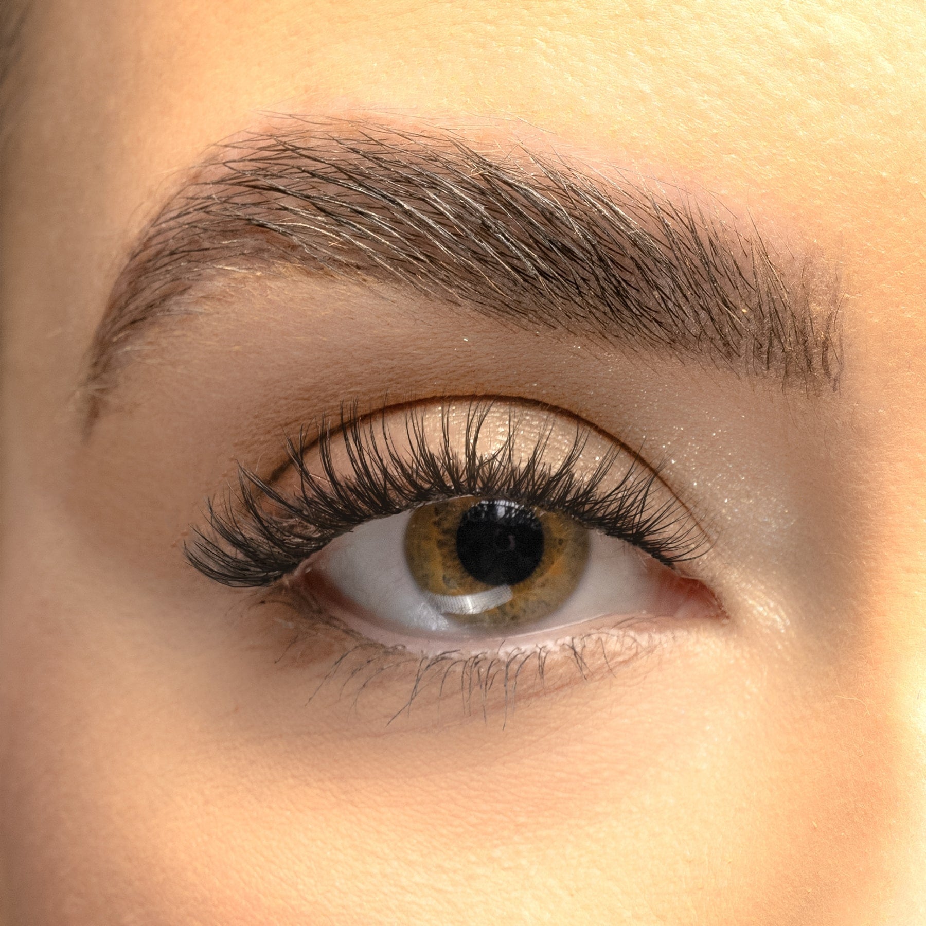 Classic DIY Lash Extension Kit