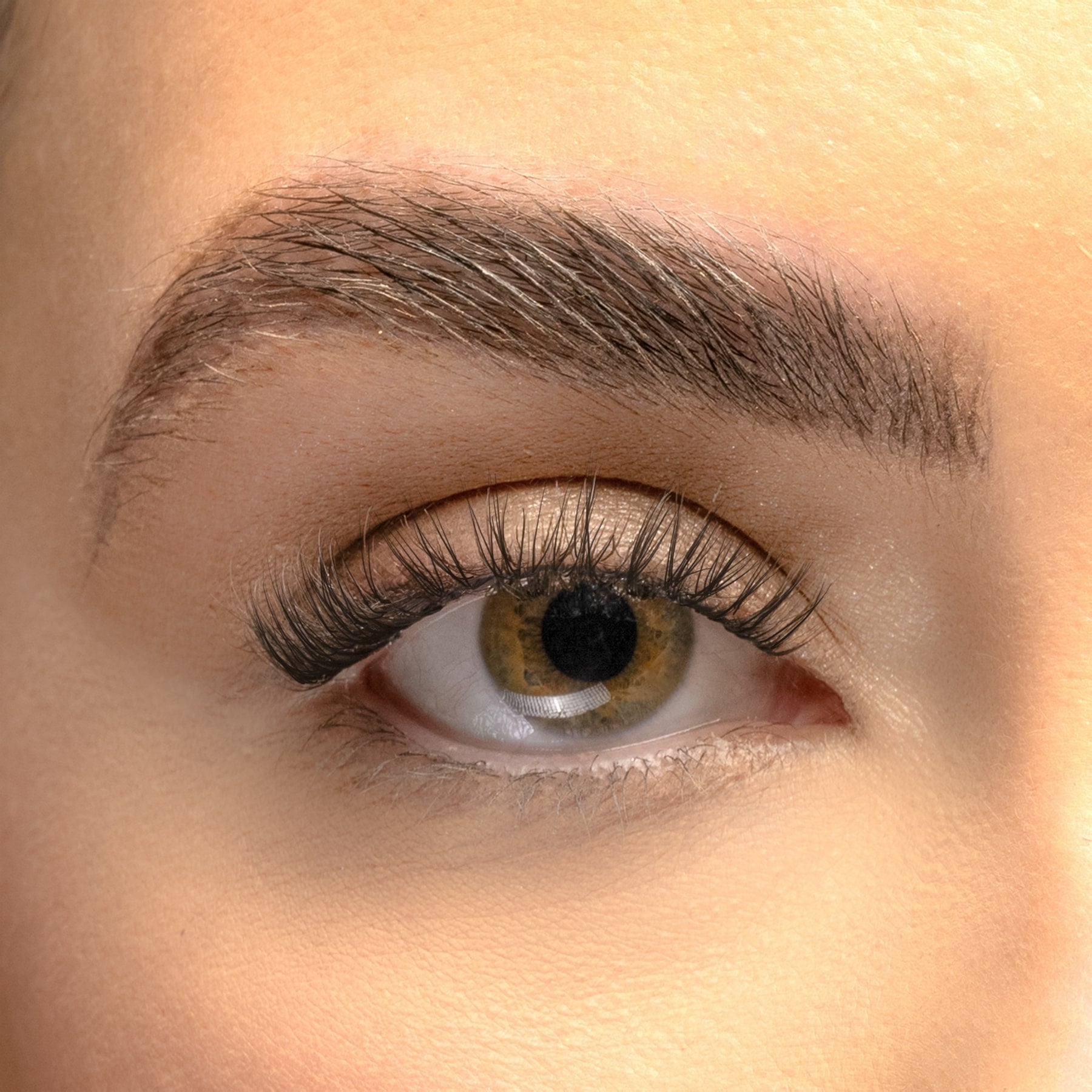 Hybrid DIY Lash Extension Kit