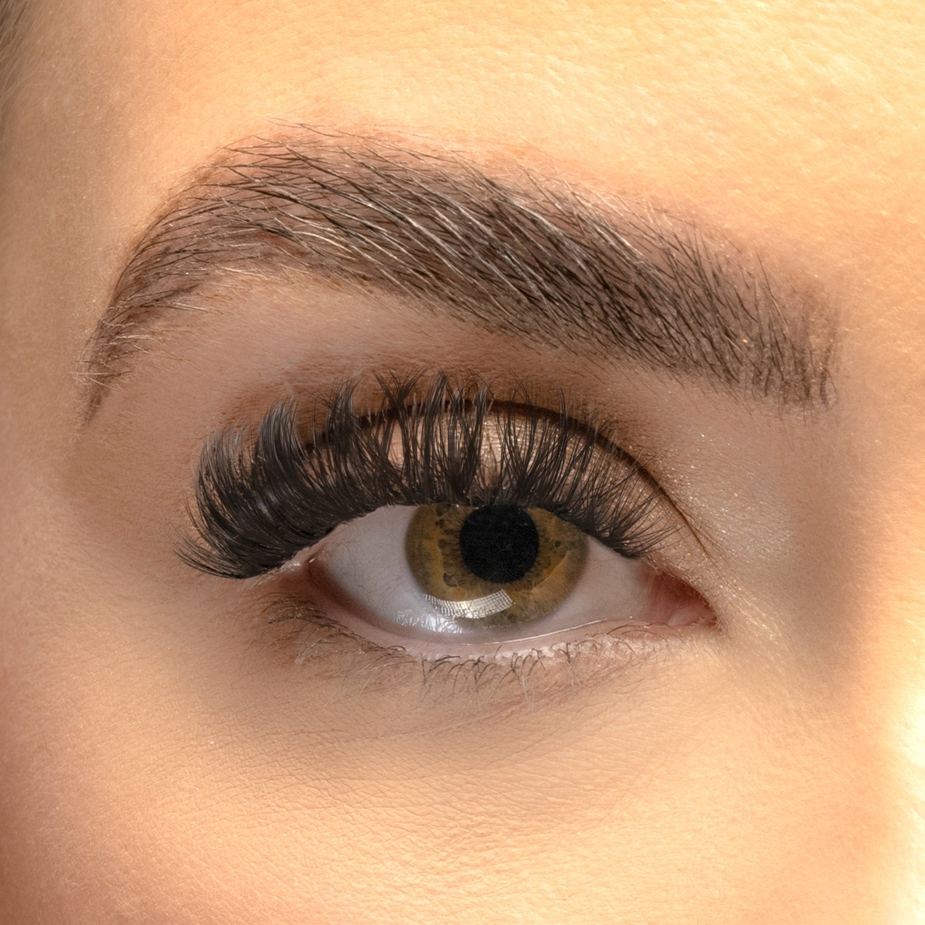 Russian XL Pre-mapped Cluster Lashes
