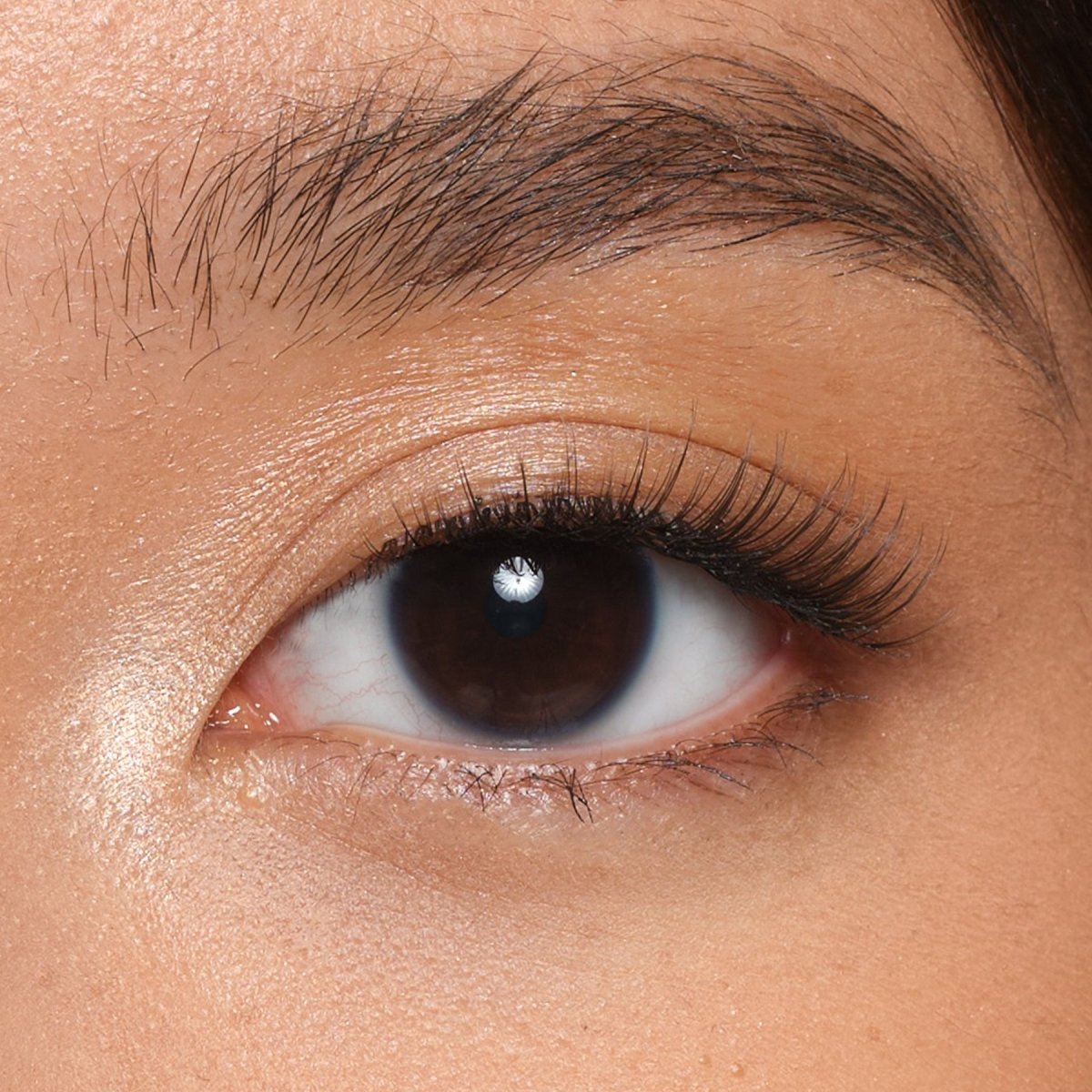 Barely There Duo Set - Everyday & Latte - Lola's Lashes