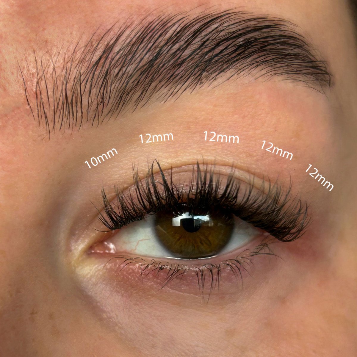 Fluffy Russian DIY Lash Extension Kit - Lola's Lashes