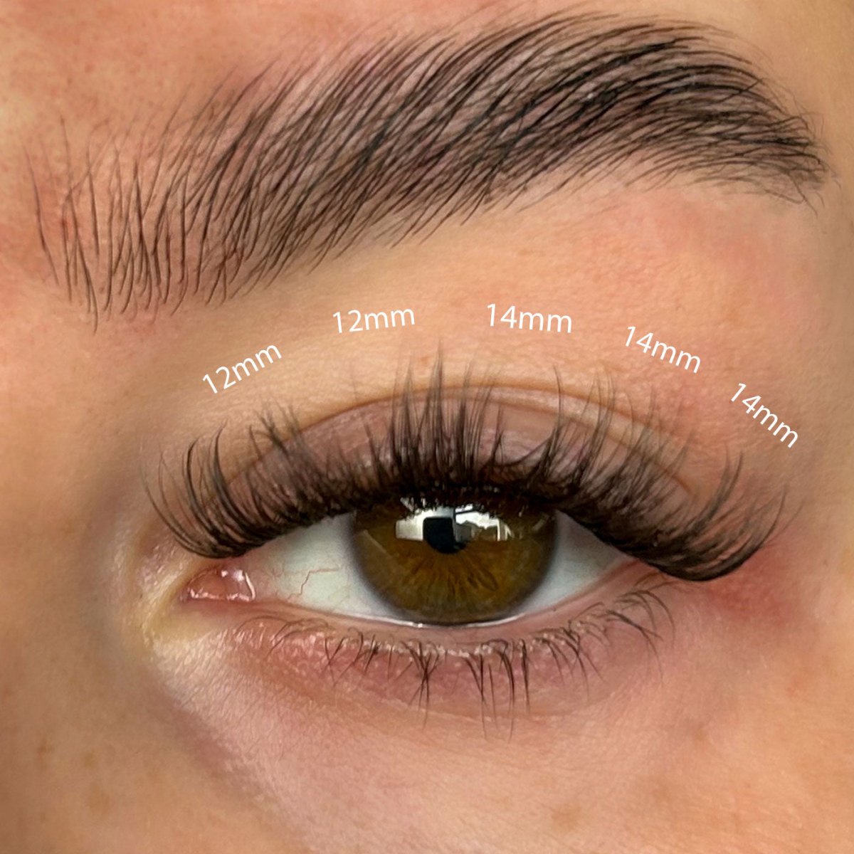 Fluffy Russian DIY Lash Extension Kit - Lola's Lashes