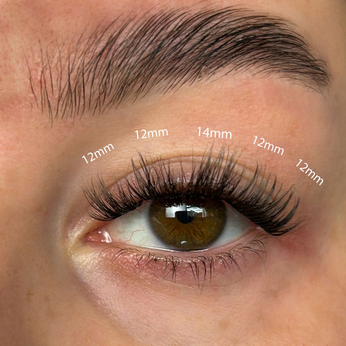 Fluffy Russian DIY Lash Extensions - Lola's Lashes