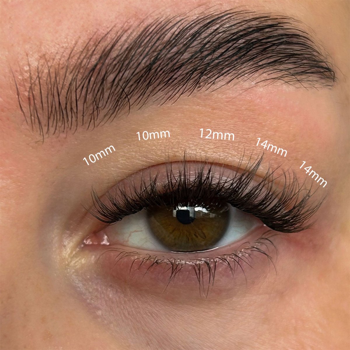 Fluffy Russian DIY Lash Extensions - Lola's Lashes