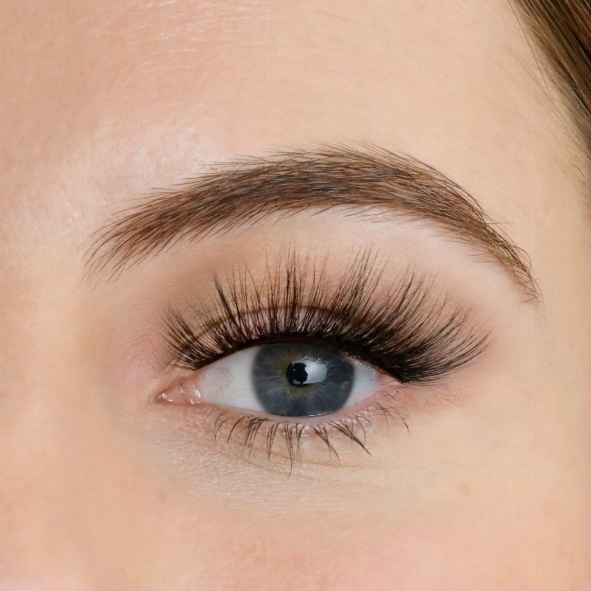 Jewel Strip Eyelashes - Lola's Lashes