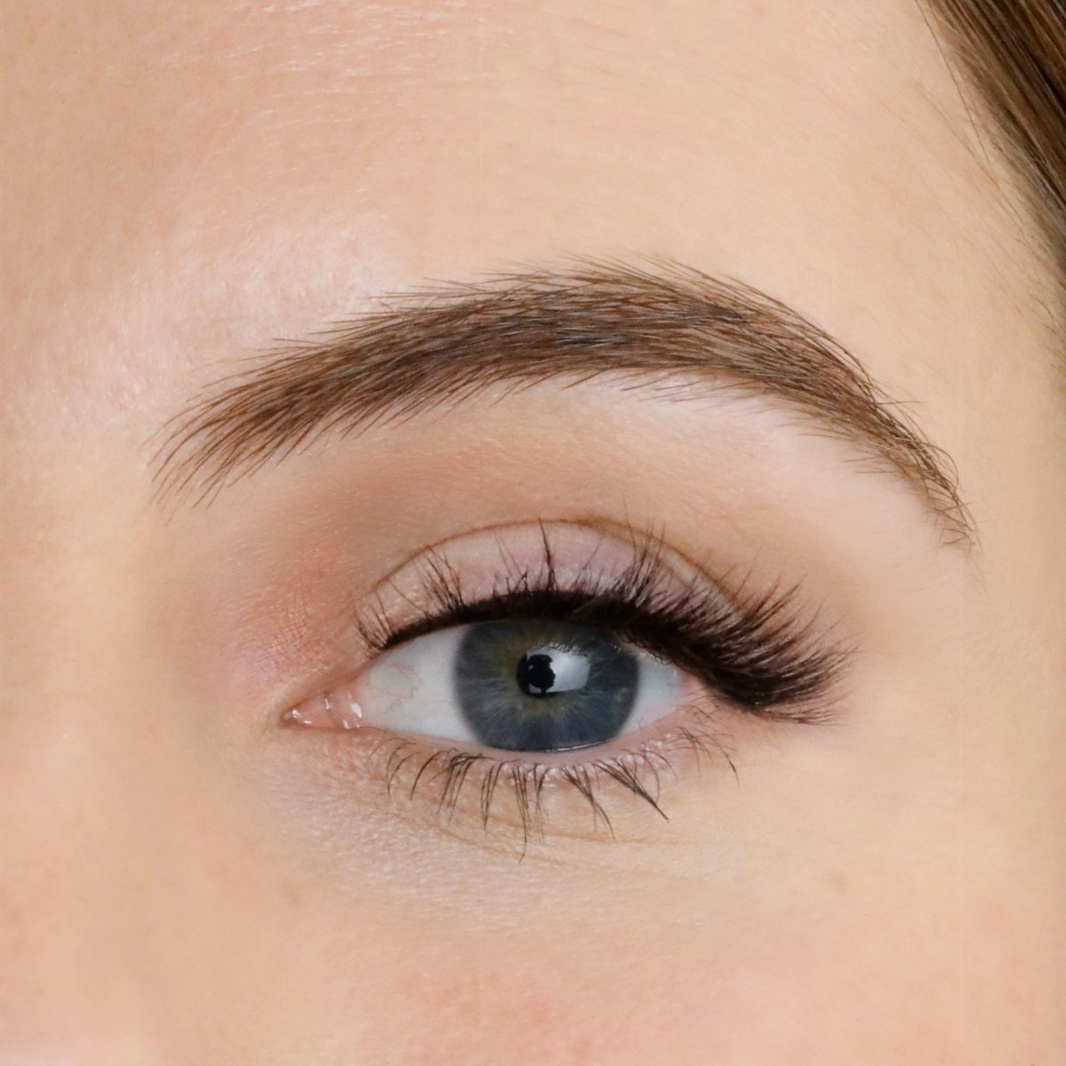 Jewel Strip Eyelashes - Lola's Lashes