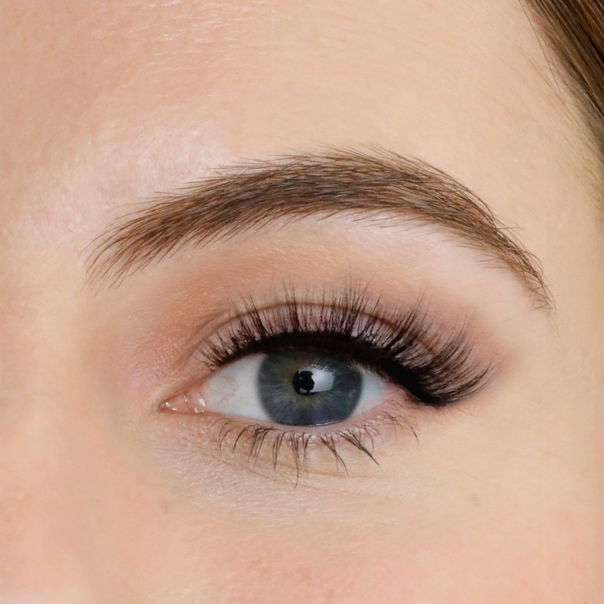 Jewel Strip Eyelashes - Lola's Lashes