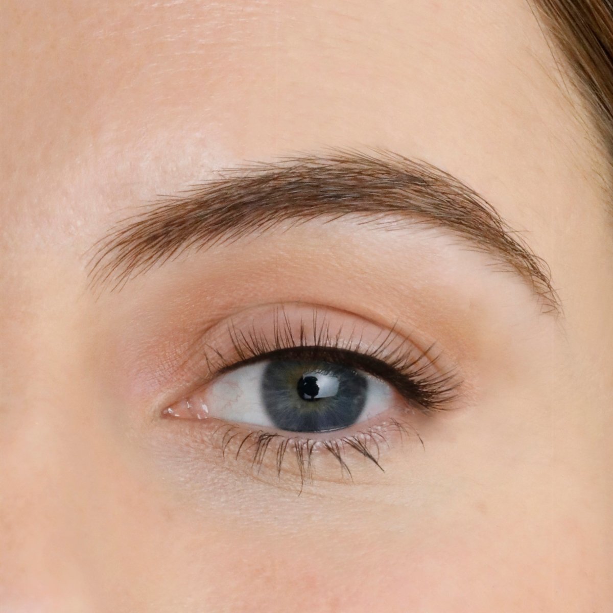 Jewel Strip Eyelashes - Lola's Lashes