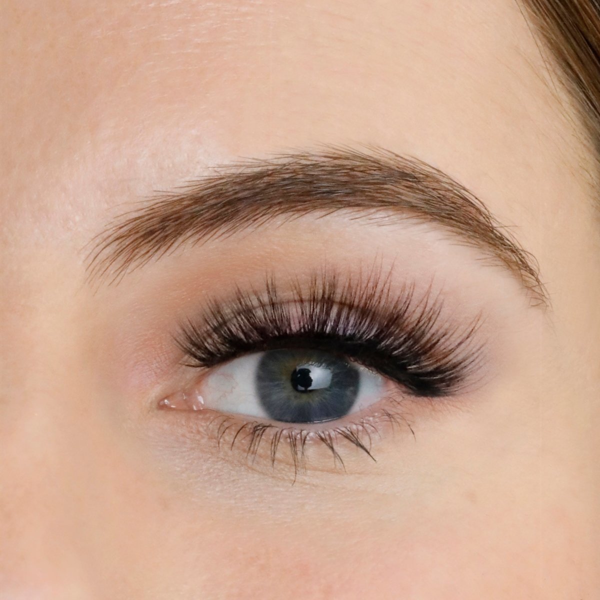 Jewel Strip Eyelashes - Lola's Lashes