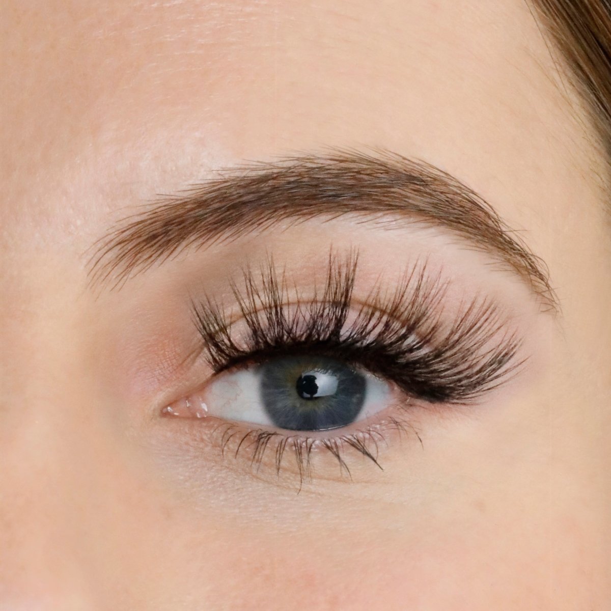 Jewel Strip Eyelashes - Lola's Lashes