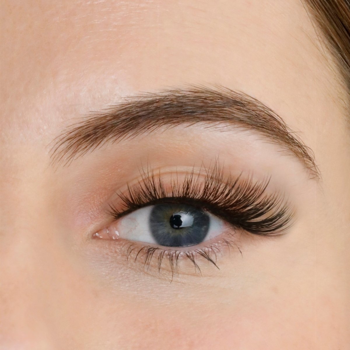 Kiss & Tell Strip Lashes - Lola's Lashes