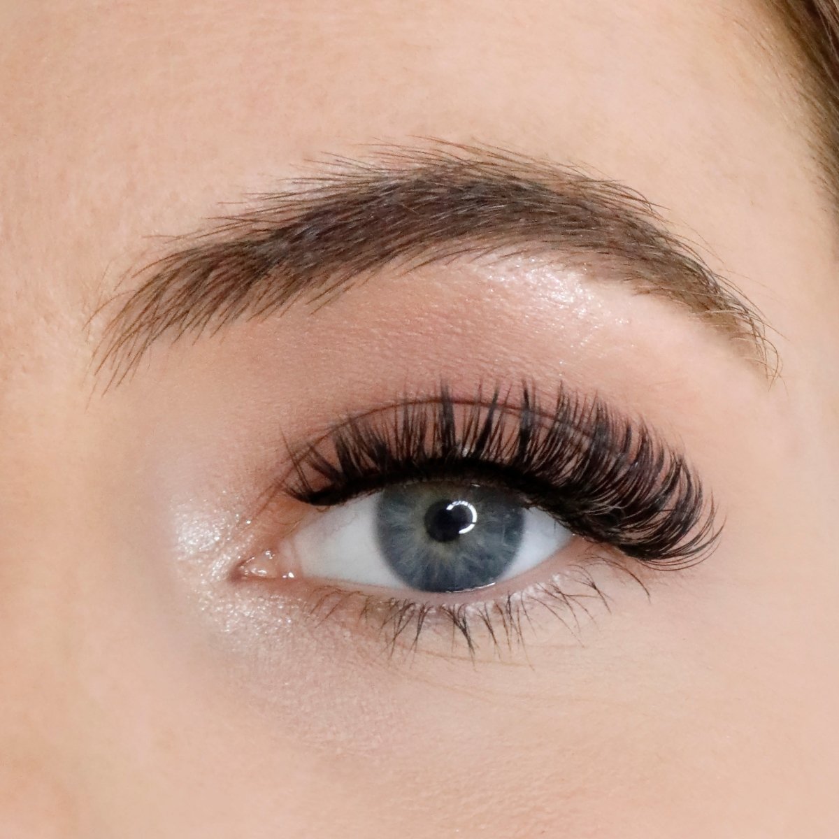 Level Up Russian Strip Lash Bundle - Lola's Lashes
