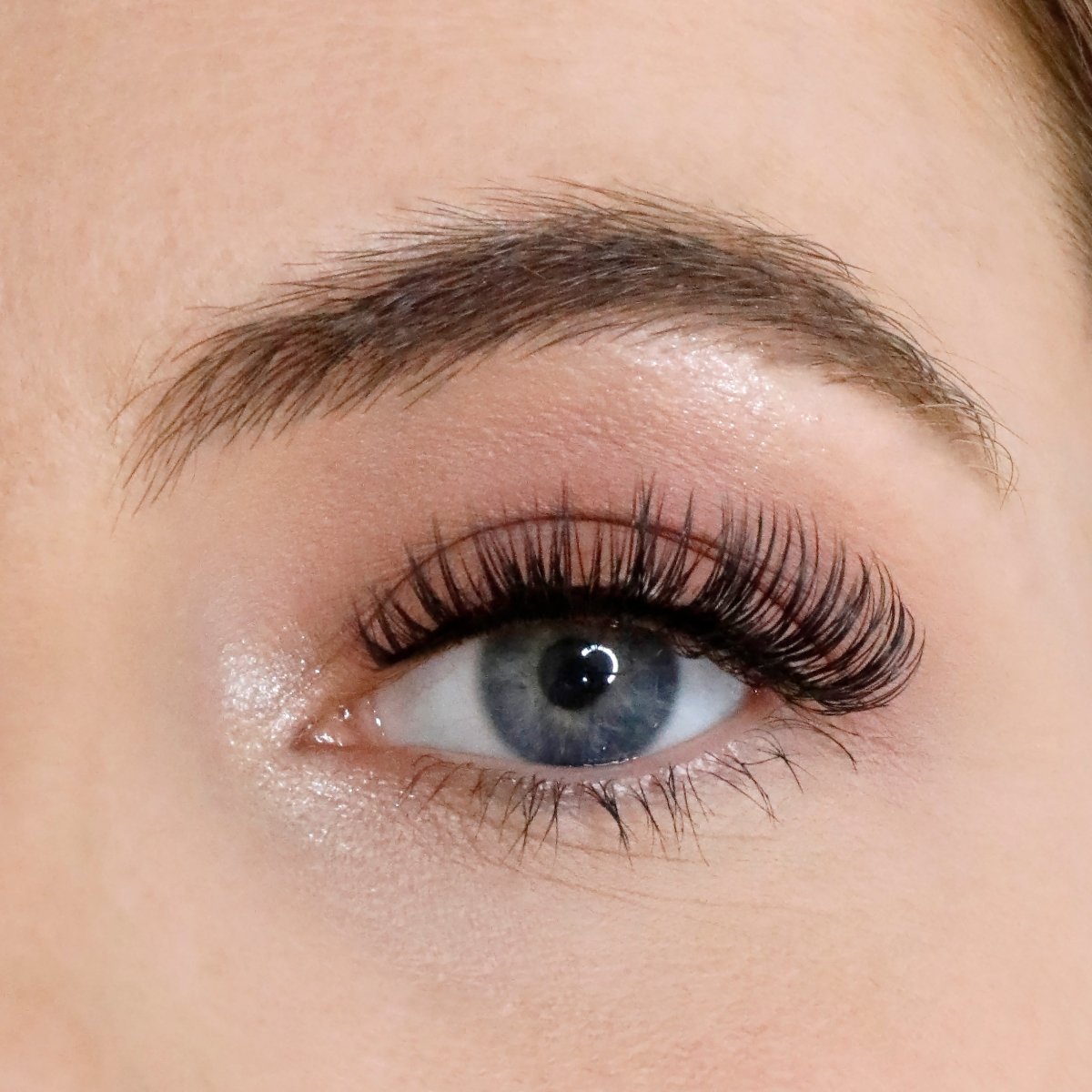 Level Up Russian Strip Lash Bundle - Lola's Lashes