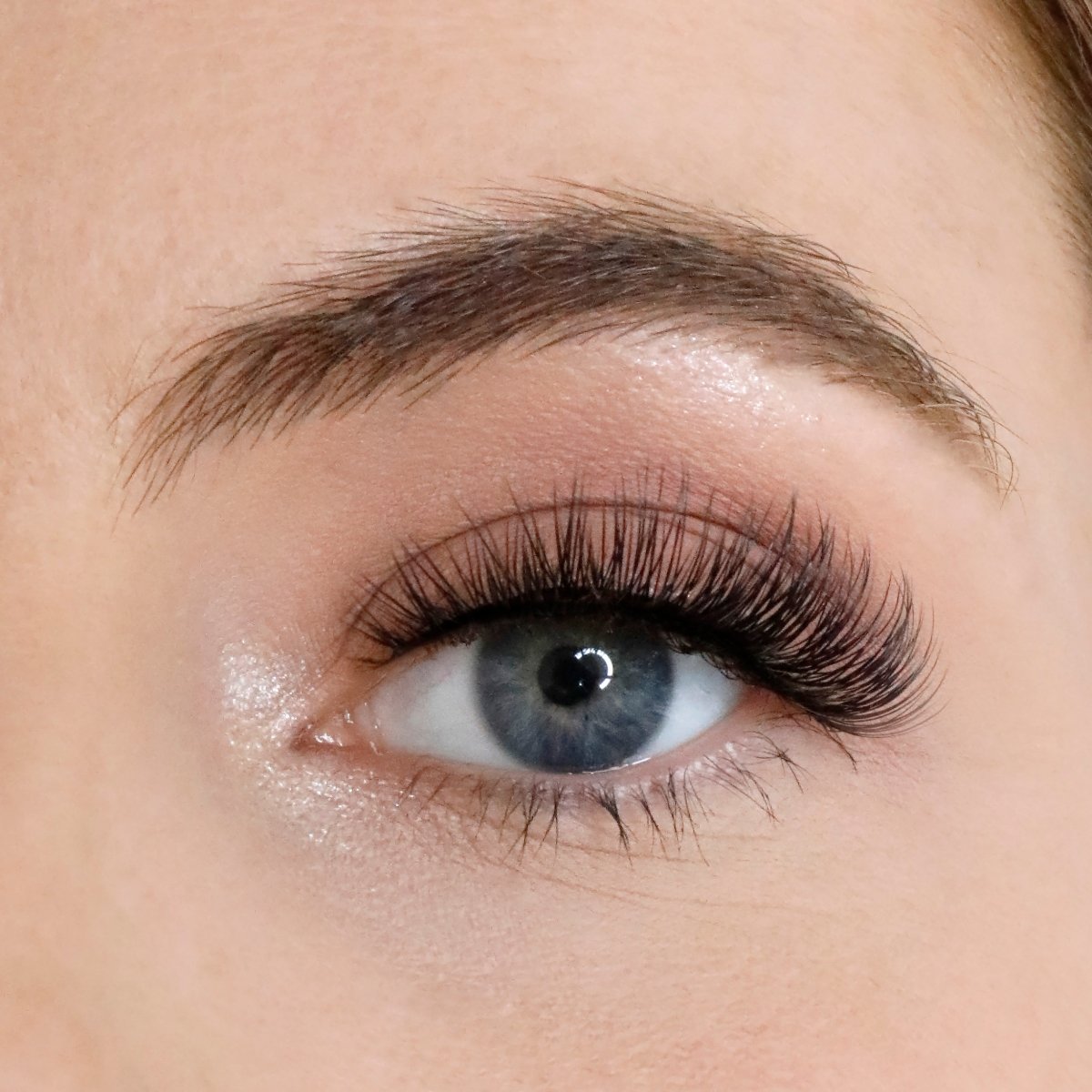 Level Up Russian Strip Lash Bundle - Lola's Lashes
