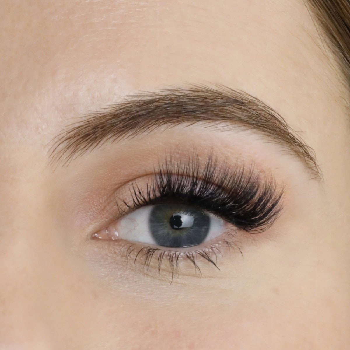 Lighter Daze Flick & Stick Half Lash Set - Lola's Lashes