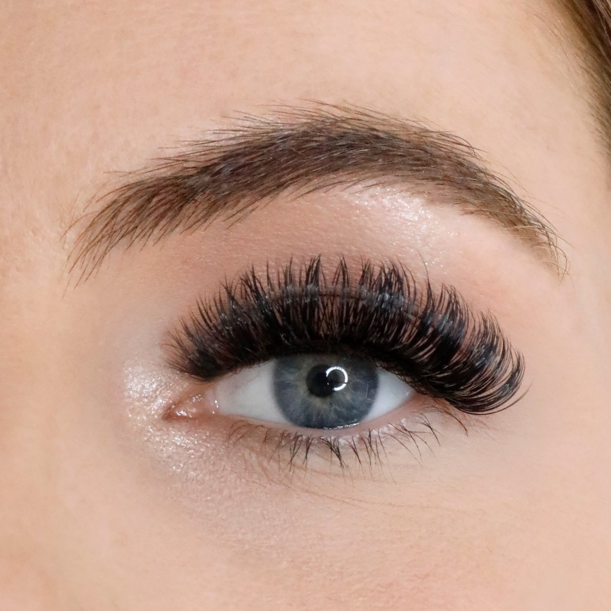 L.W.I Curl Power Russian Hybrid Magnetic Lash & Liner Set - Lola's Lashes