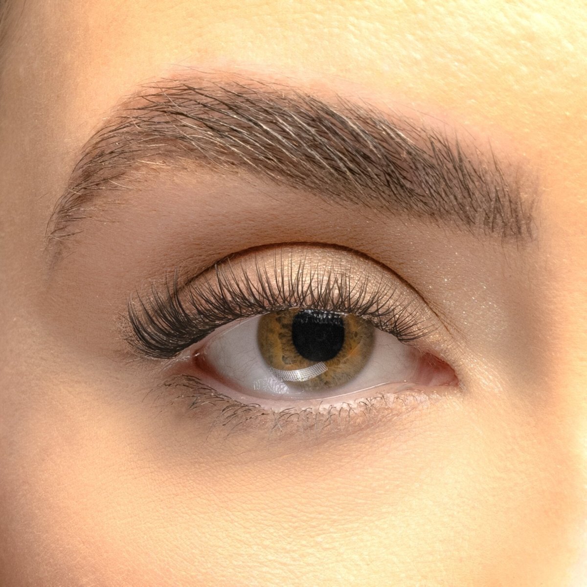 Multipack - Russian DIY Lash Extensions - Lola's Lashes