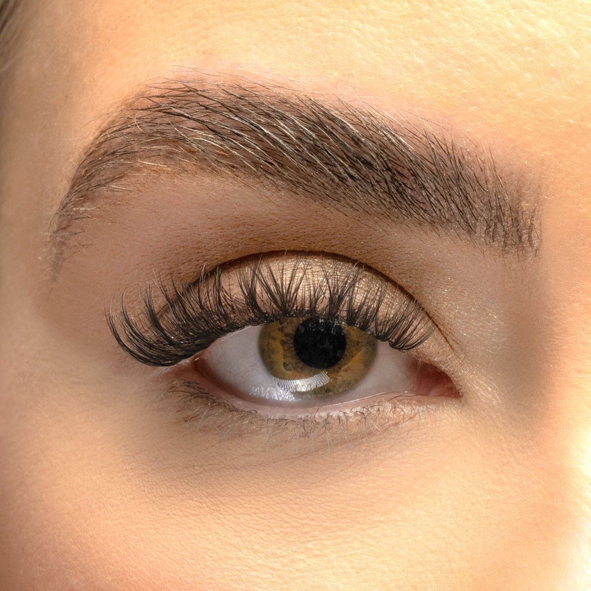 Multipack - Russian DIY Lash Extensions - Lola's Lashes