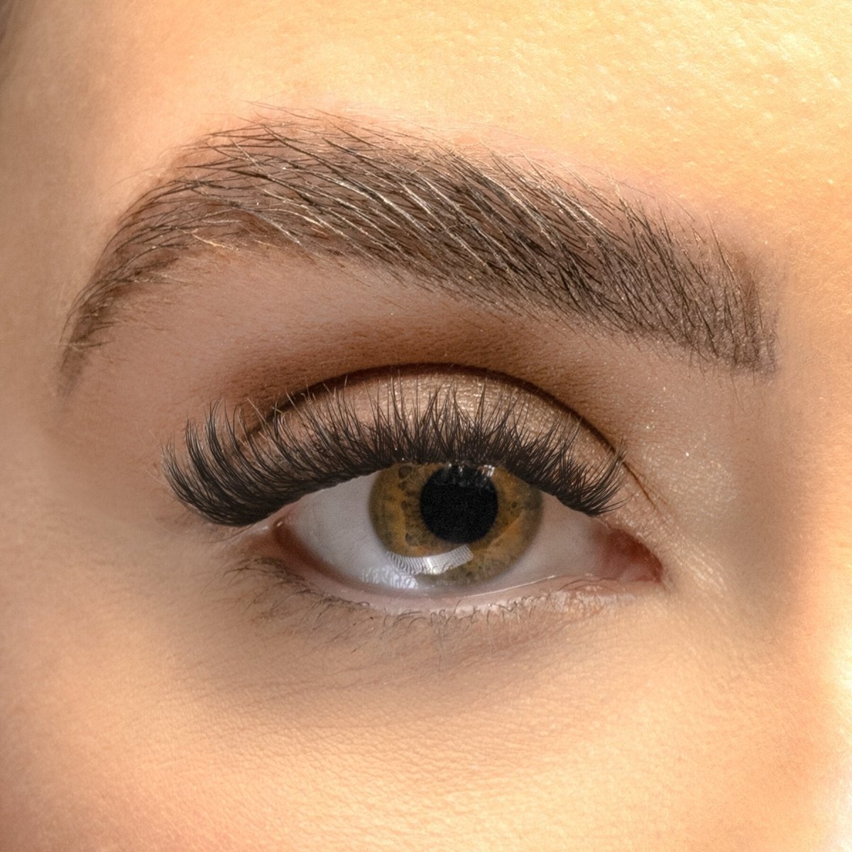 Multipack - Russian DIY Lash Extensions - Lola's Lashes