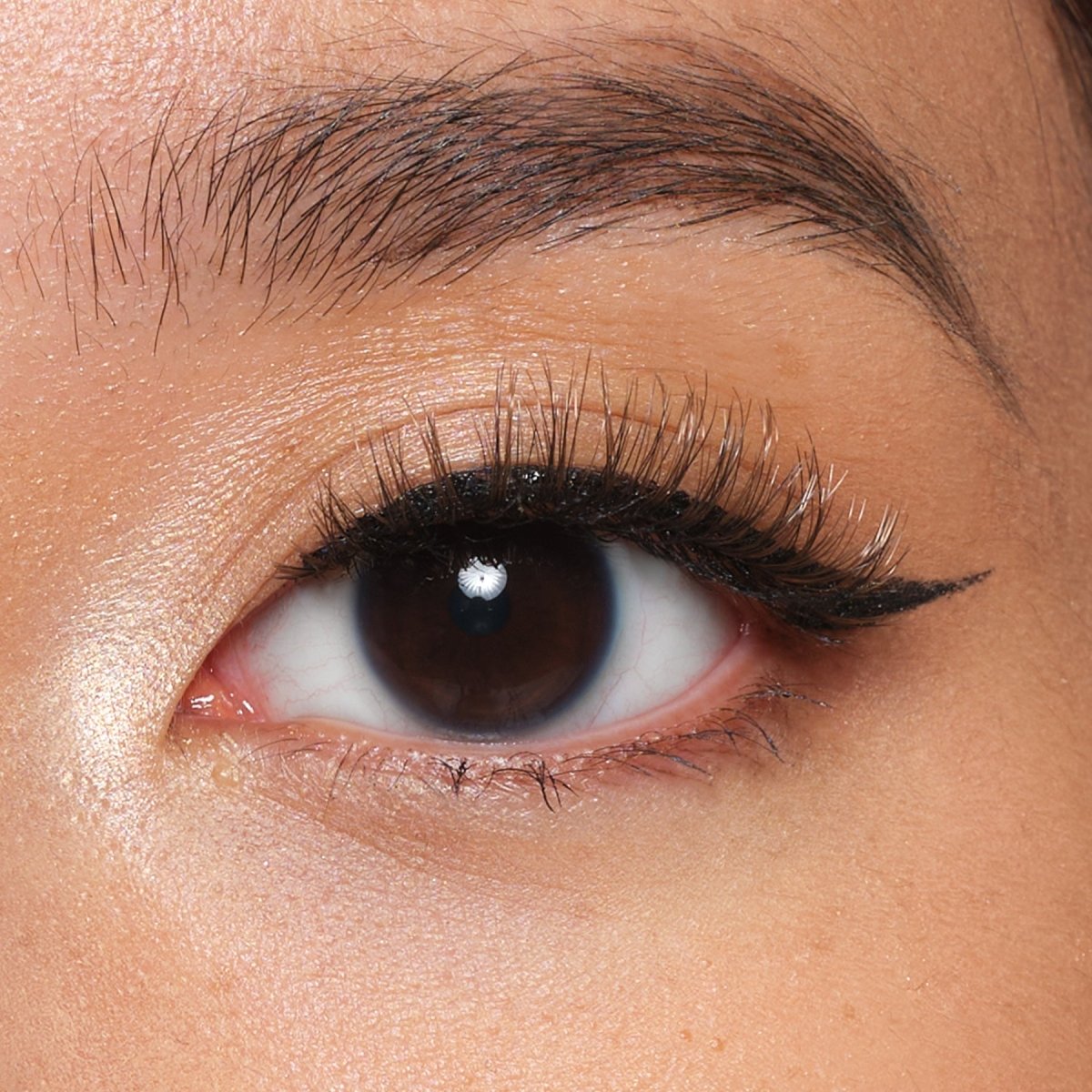 Vibe Magnetic Eyelashes - Lola's Lashes