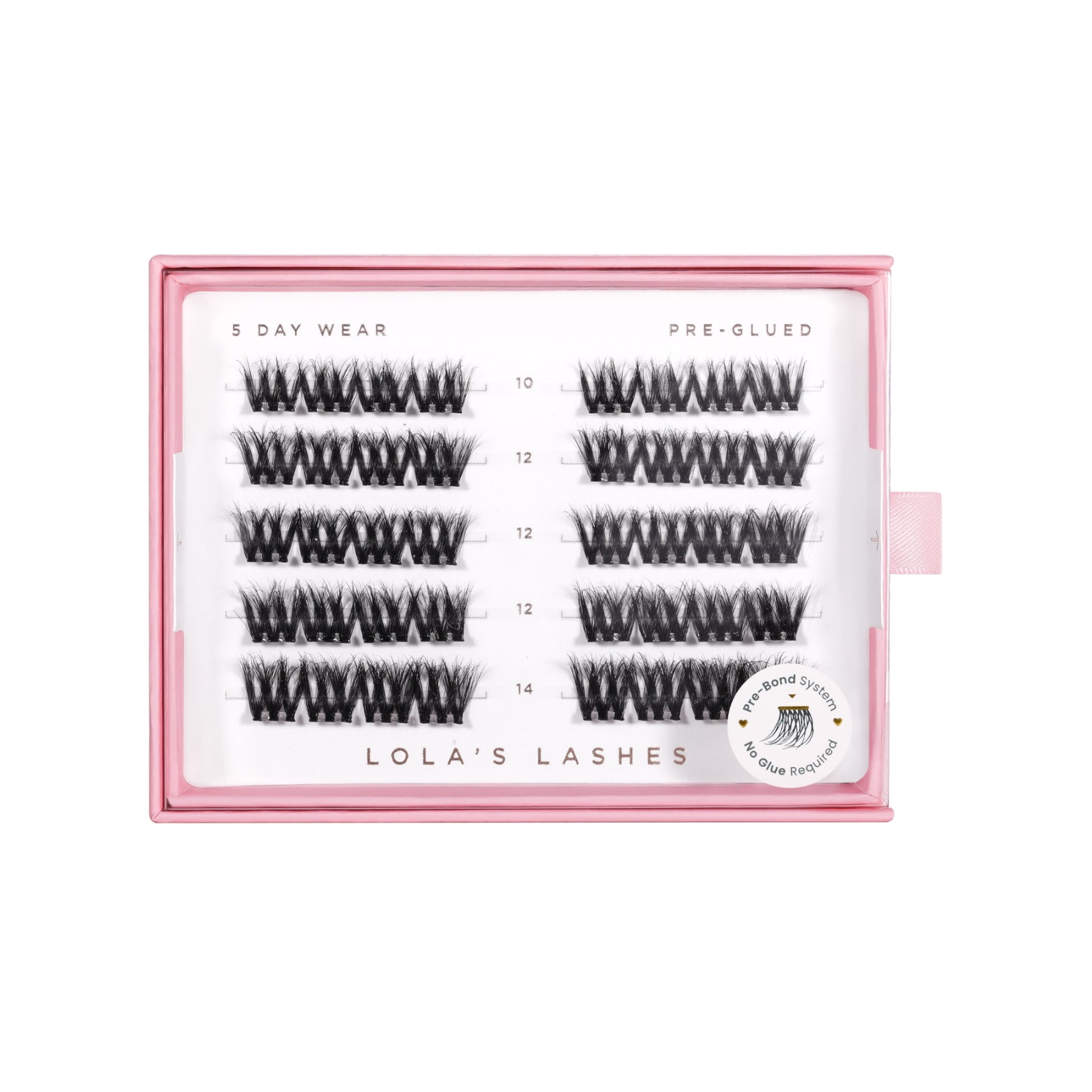 Pre-Glued Lashes Starter Kit