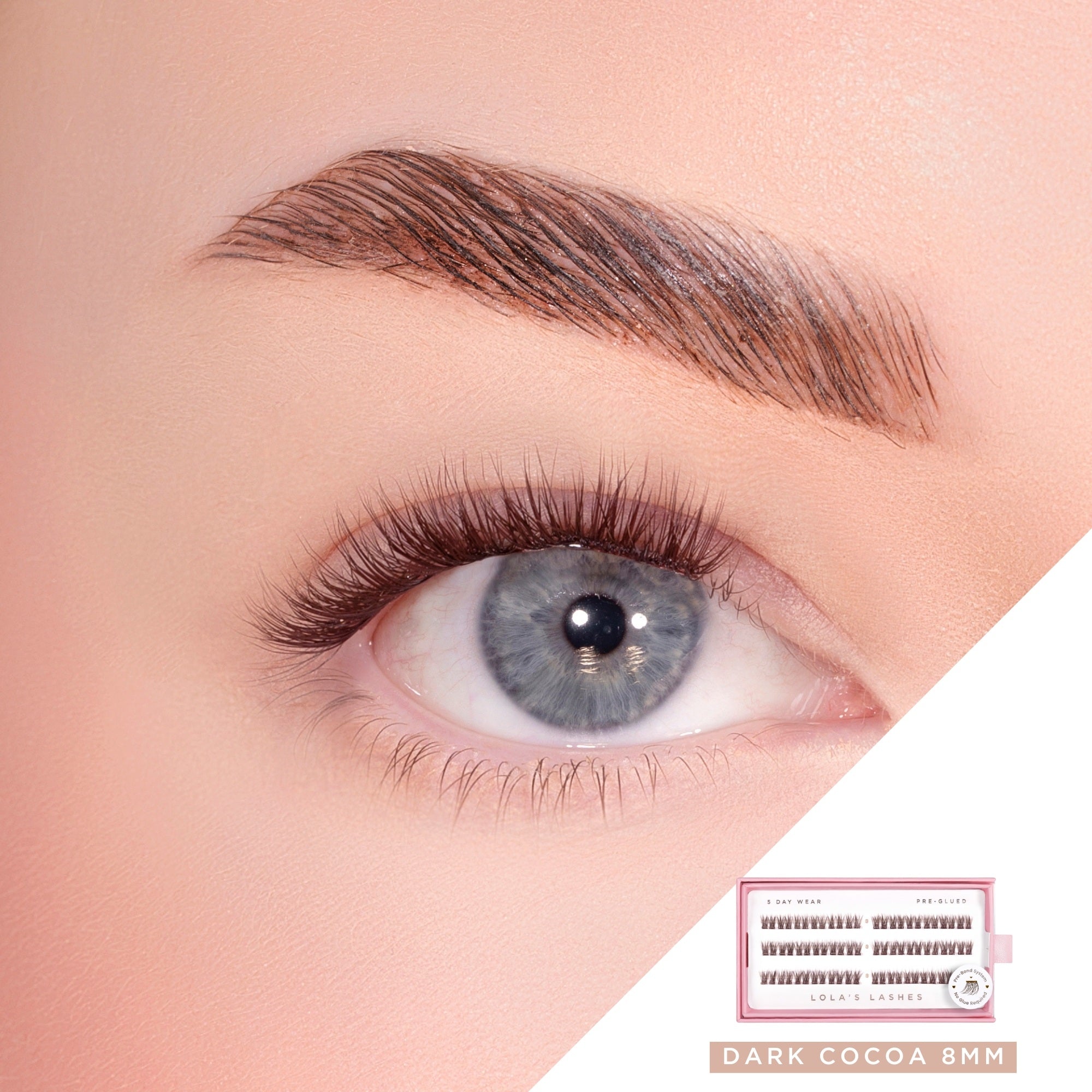 Soft Cocoa Brown Single Length Pre-Glued Lashes