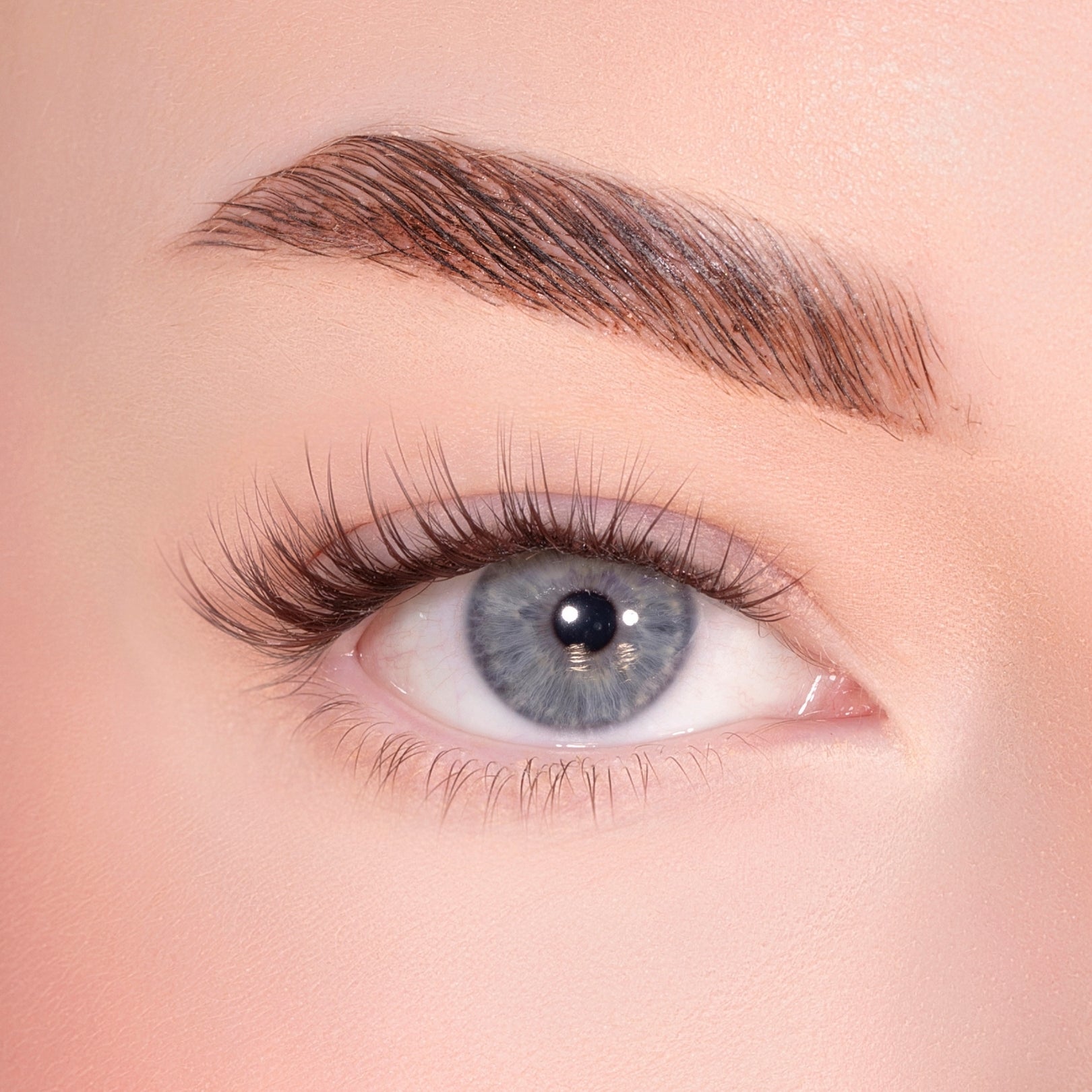 Natural Pre-mapped Dark Brown Pre-Glued Lashes Set