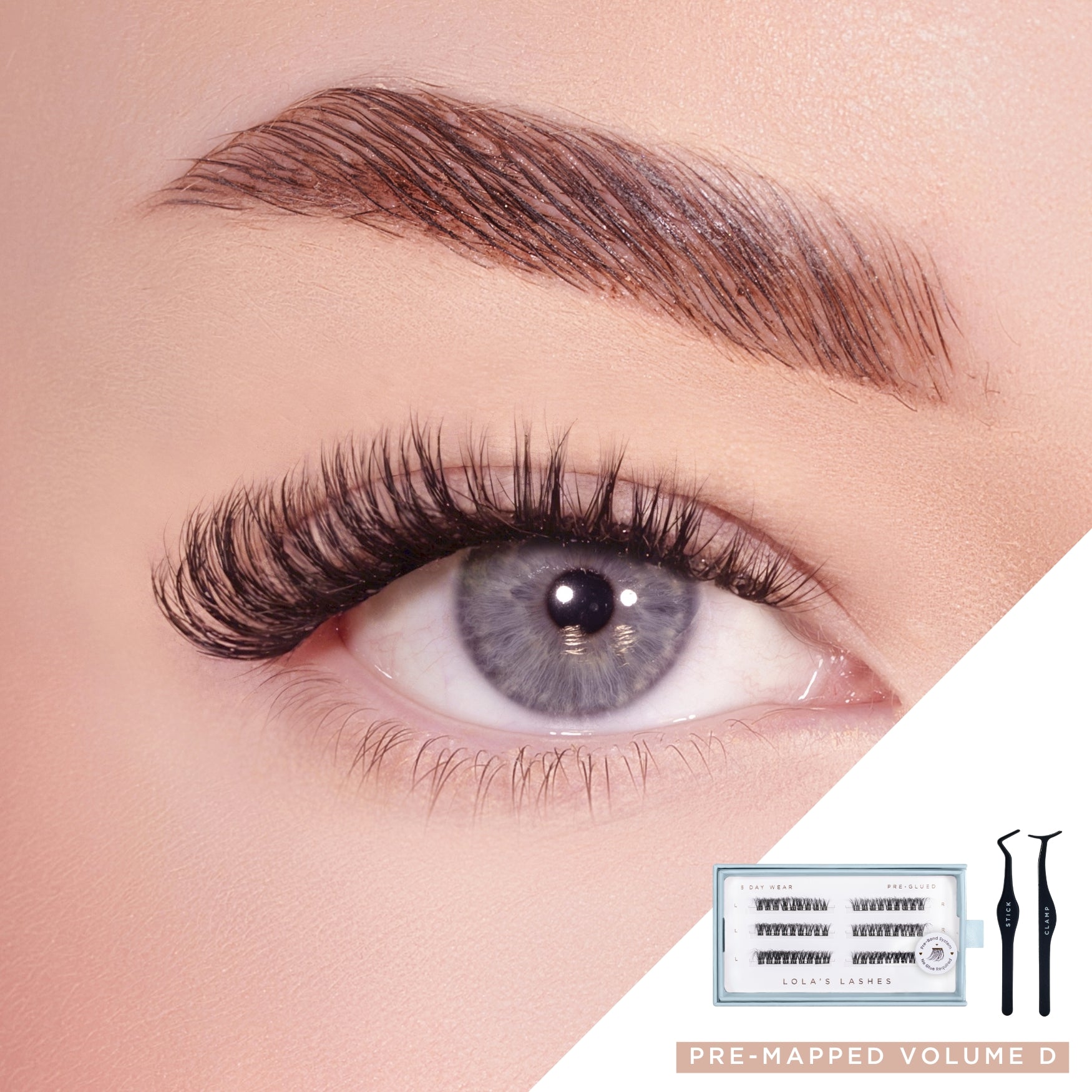 Volume D Pre-mapped Pre-Glued Lashes Set