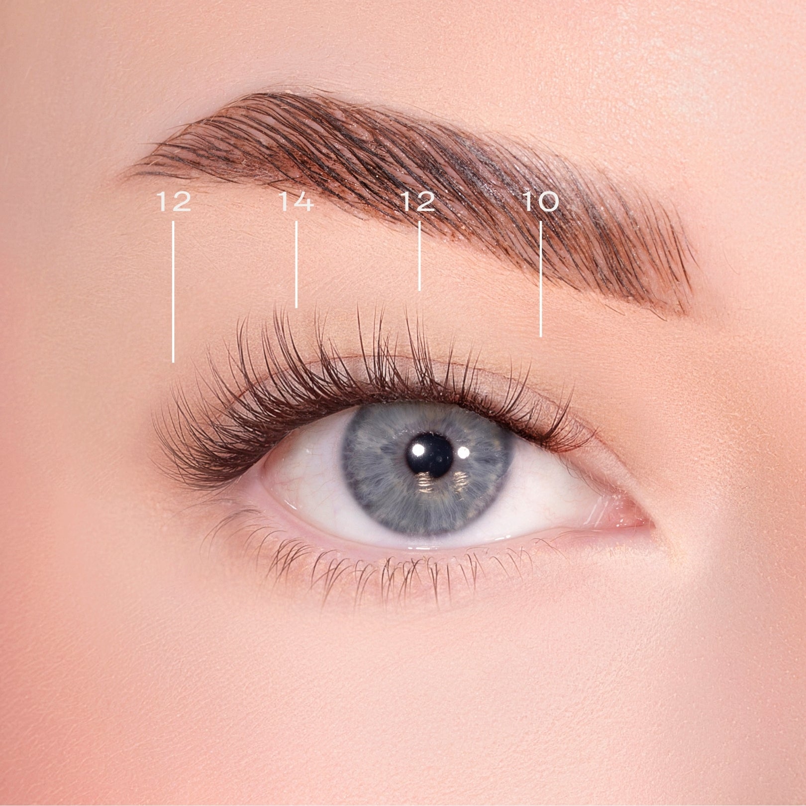 Soft Definition Dark Brown Pre-Glued Lashes Set