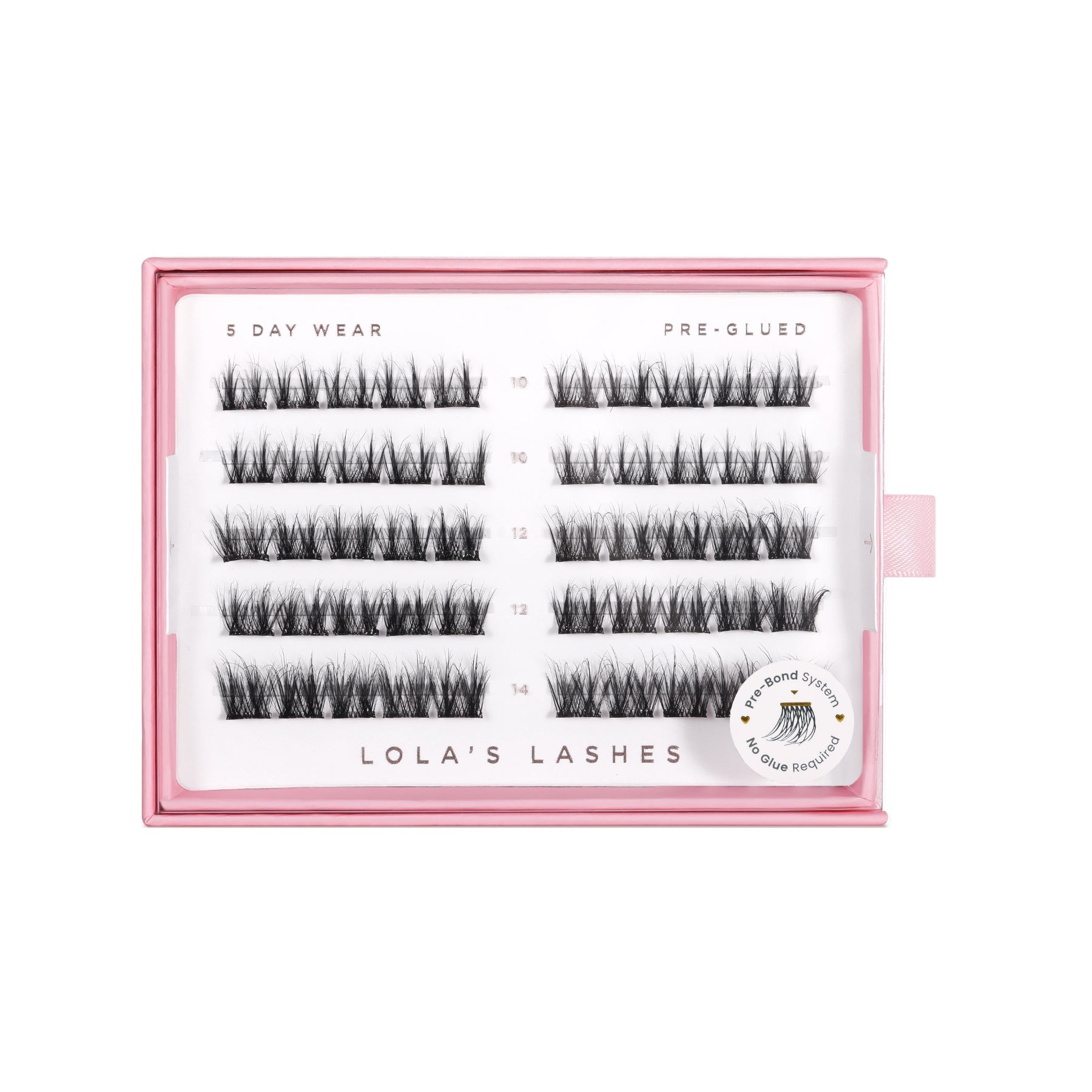 Pre-Glued Lashes Starter Kit