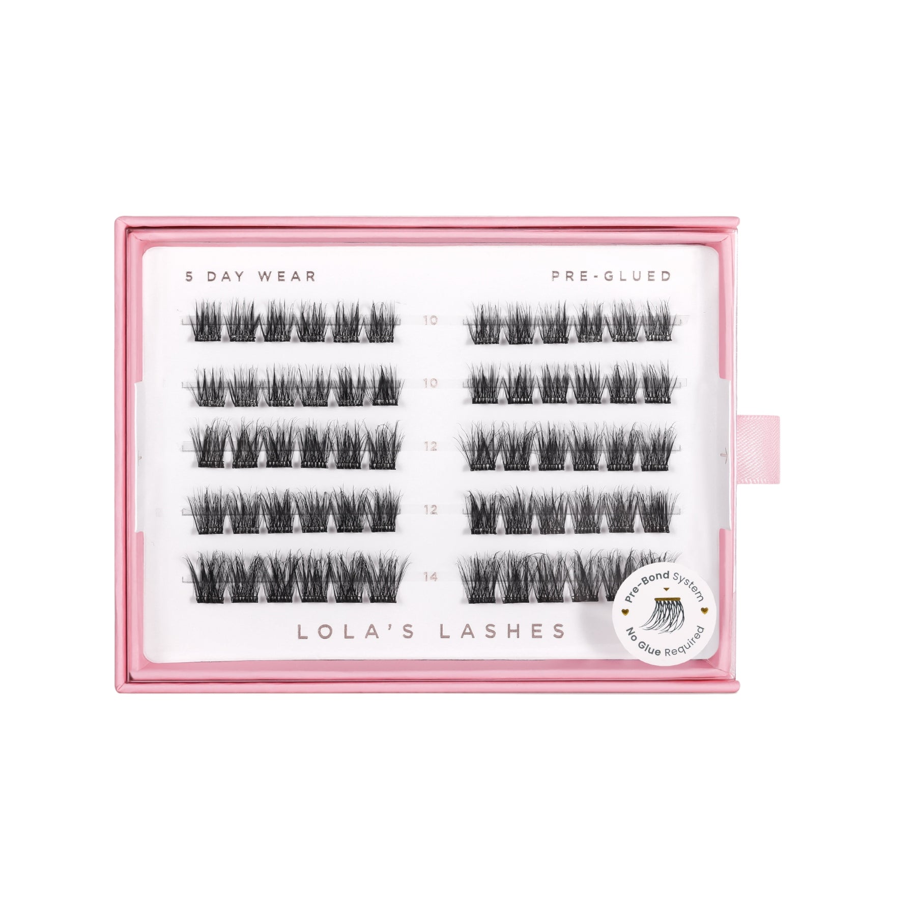 Pre-Glued Lashes Starter Kit