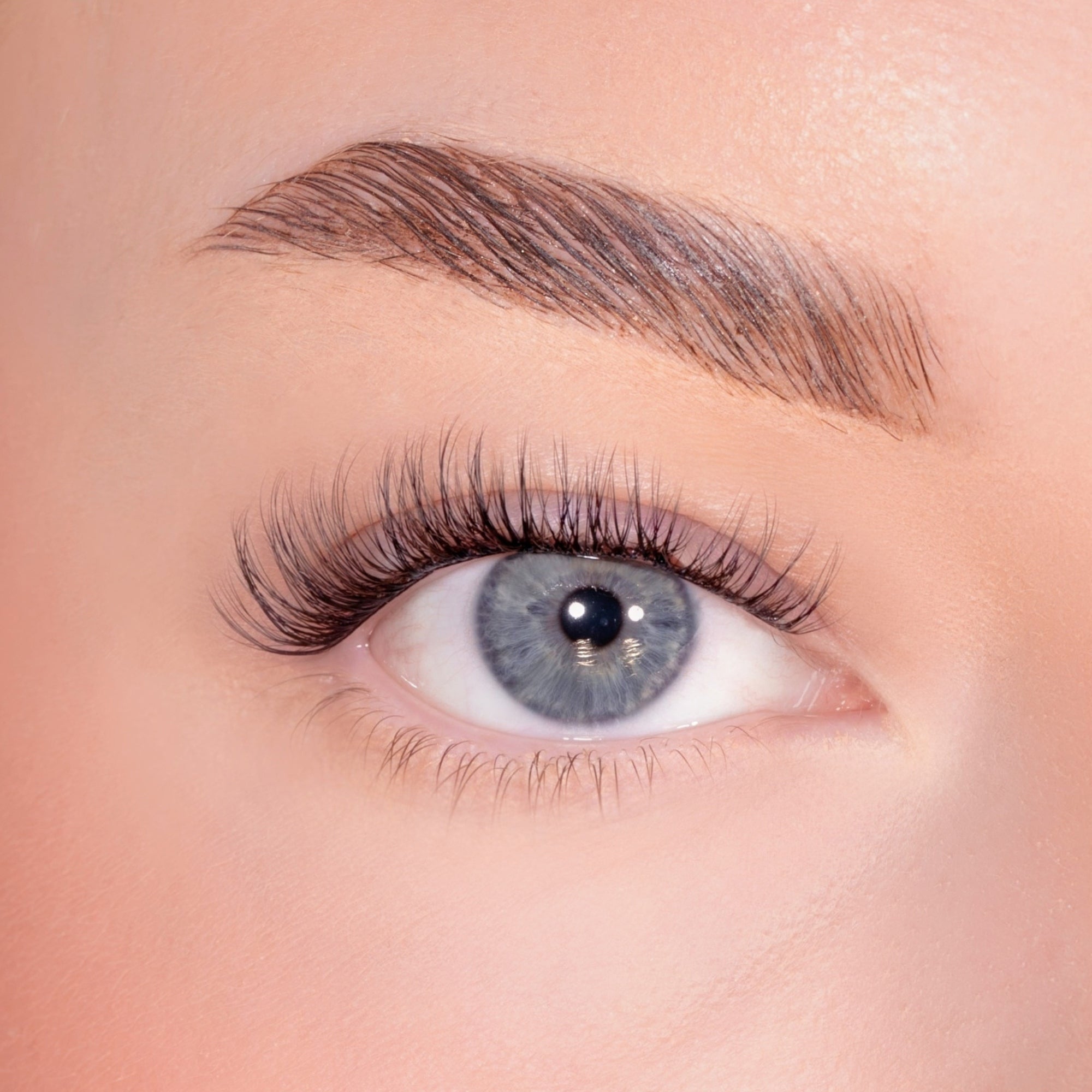 Subtle Volume Single Length Pre-Glued Lashes