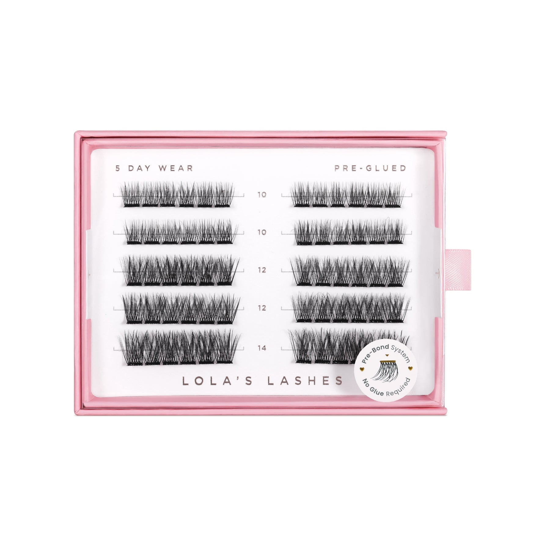 Pre-Glued Lashes Starter Kit