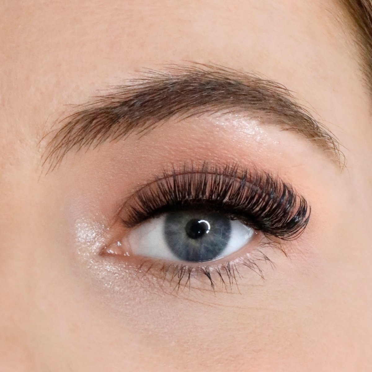 Russian Strip Lashes - Lola's Lashes