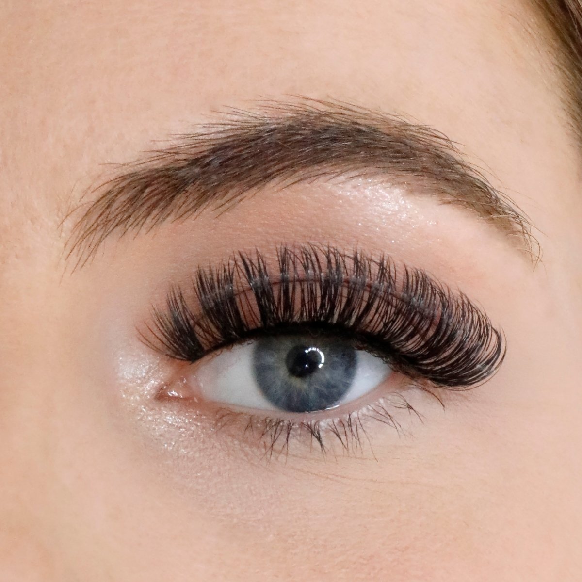 Russian Strip Lashes - Lola's Lashes